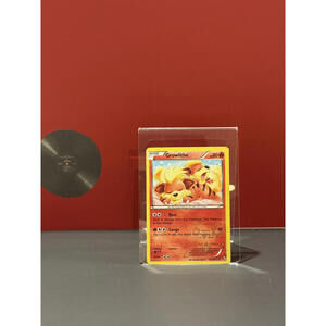 Growlithe RC4/RC25 - Radiant Collection - Legendary Treasures - NM Holo Rare